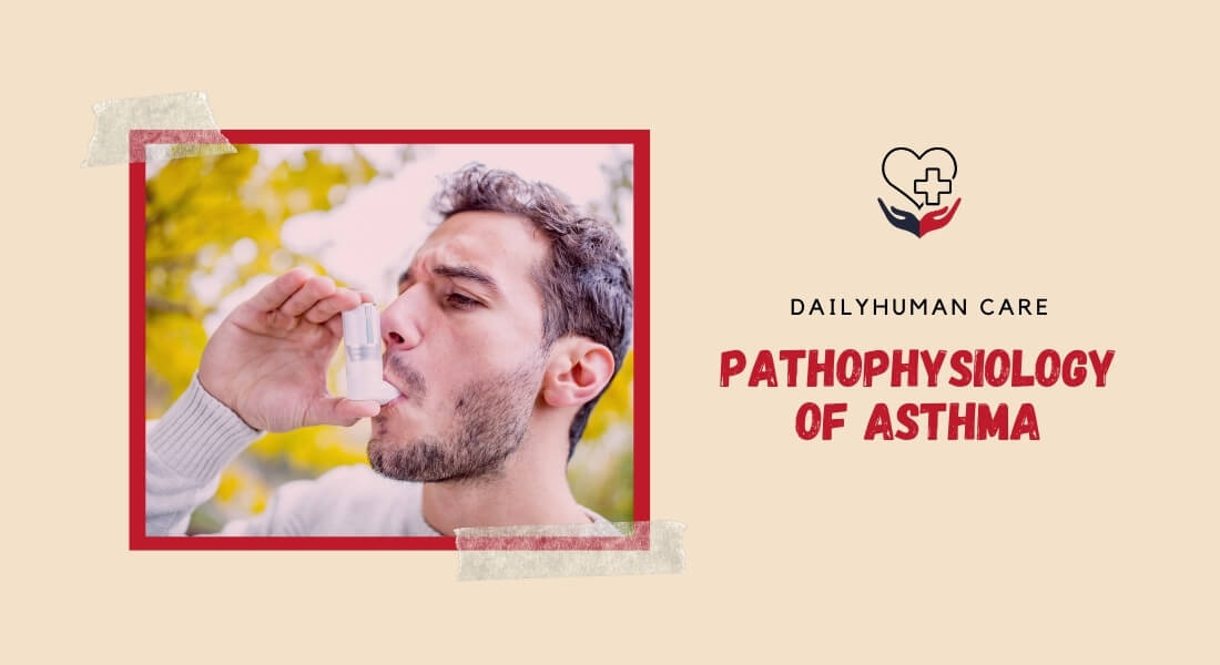 pathophysiology of asthma