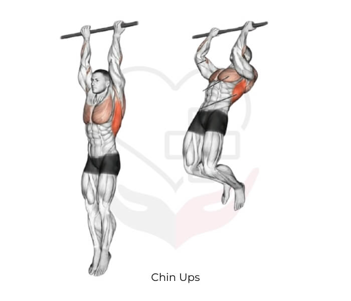 Chin Ups