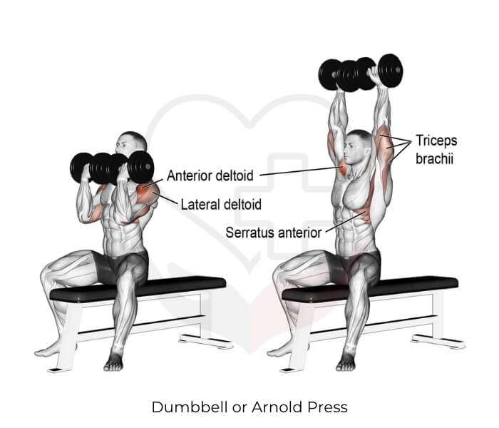 Traps workout with dumbbells at online home