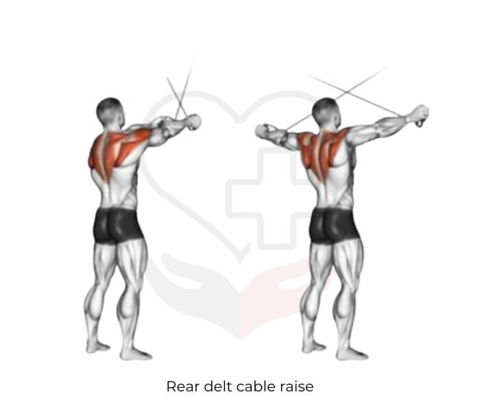 Rear delt cable raise