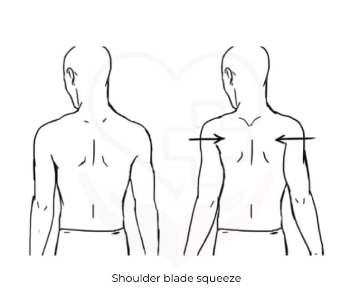 Shoulder blade squeeze