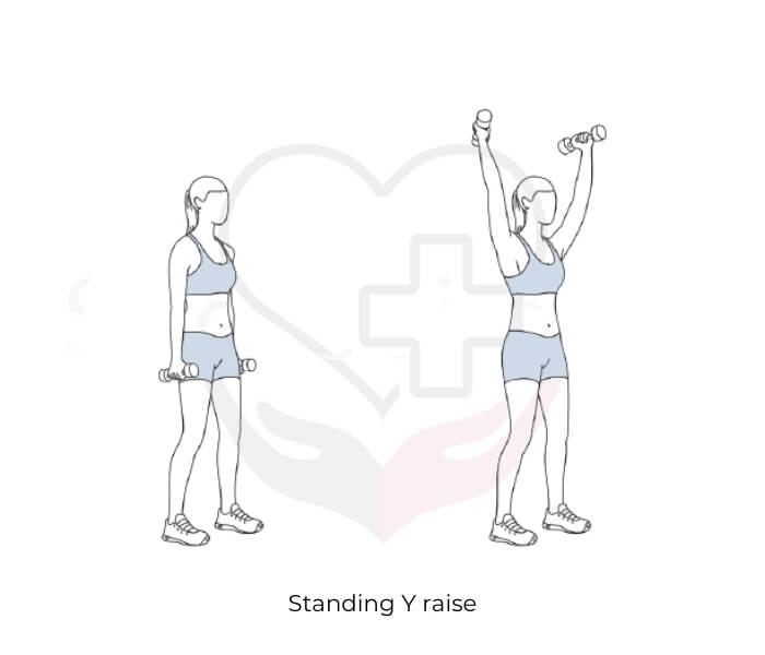 Standing Y raise