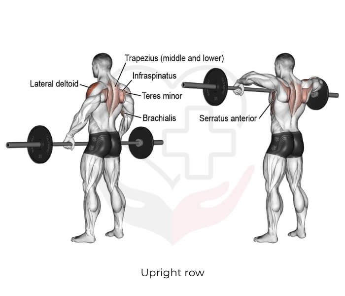 Upright row