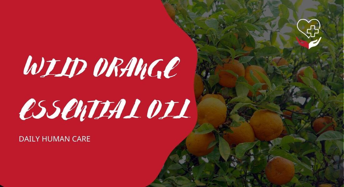 WILD ORANGE ESSENTIAL OIL