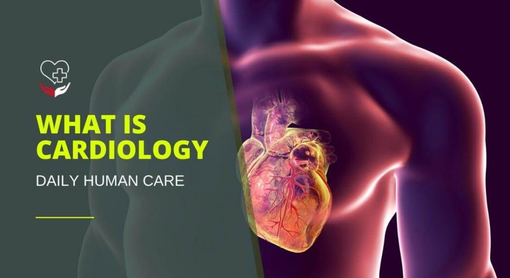 What Is Cardiology? When Do You Need A Cardiologist? | 2022 - Daily ...