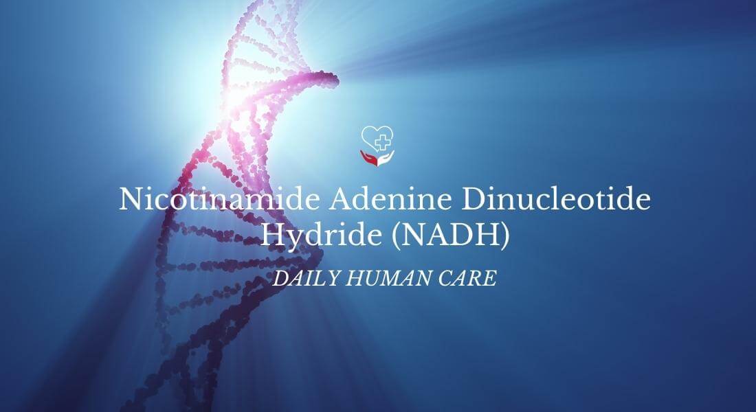 Nicotinamide Adenine Dinucleotide Hydride (NADH)